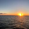 Foto: Segelwerkstatt Warnemünde